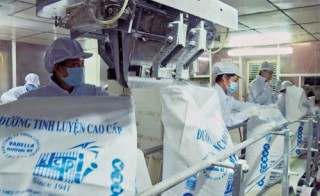 Phía bên kia “thiên đường” hội nhập, nhìn từ ngành mía đường