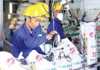 Sát cánh cùng doanh nghiệp