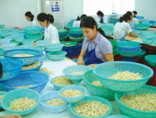 Cuộc đổ bộ của người Ấn