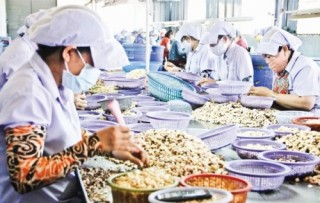 Rộng mở hàng hóa sang thị trường Úc