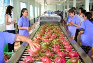 Cơ hội cho DN nông sản chuyển mình