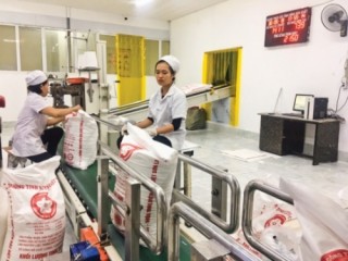 Hậu hội nhập và bài toán lựa chọn ngành nghề có lợi thế