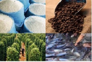 Doanh nghiệp bỏ ngỏ thị trường dễ tính