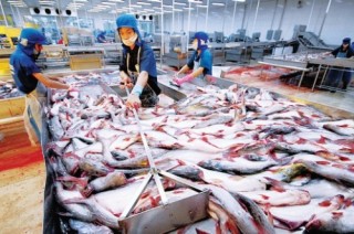 Chung tay đưa hàng Việt ra thế giới