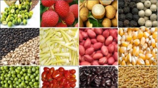 Nỗi niềm hàng nông sản công nghệ cao