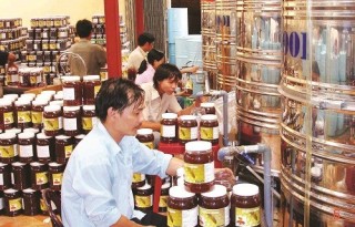 Bất cập xử lý vi phạm sở hữu trí tuệ