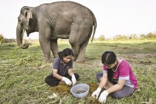 DN nhỏ tham gia sân chơi lớn