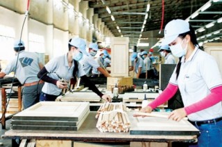 DN thích ứng nhanh với thay đổi