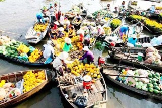 Chưa tận dụng hết tiềm năng