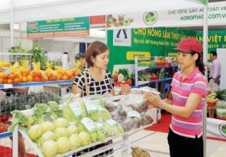 Liên kết để phát triển lành mạnh