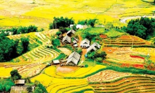 Thương hiệu Quốc gia và bài toán vươn ra thế giới