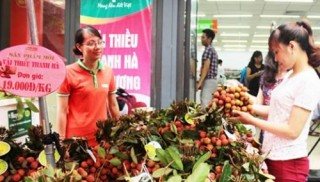 Chủ động làm thương hiệu