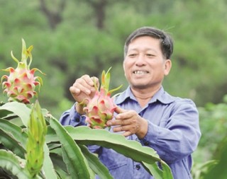 Nông sản Việt yếu ở nhiều khâu