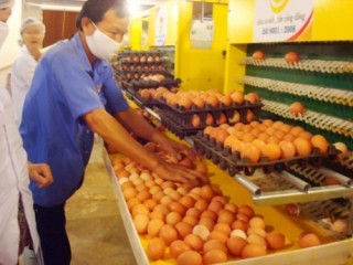 Đổi mới công nghệ để cạnh tranh