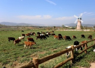 Những bước phát triển bền vững của công ty có giá trị thương hiệu lớn nhất Việt Nam