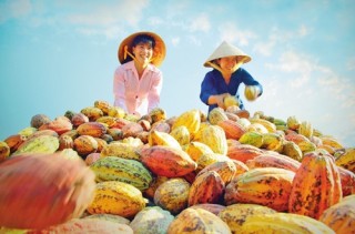 Tiềm lực nâng cao giá trị nông sản Việt