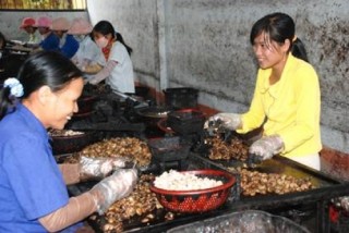Tái cơ cấu để nâng giá trị nông sản