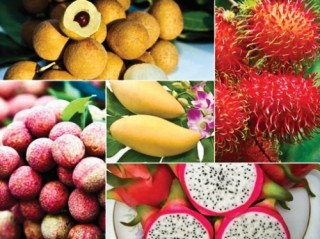 Nông sản Việt vẫn “loay hoay” với chuyện thương hiệu