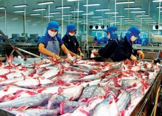 Lo thẻ vàng thủy sản