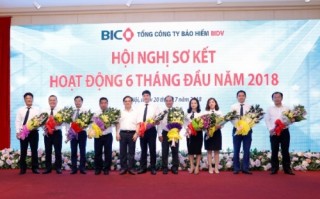 Lợi nhuận hợp nhất của BIC tăng trưởng 37%