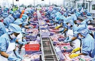 EVFTA: Cơ hội cho Việt Nam từ thông điệp thương mại mới của EU
