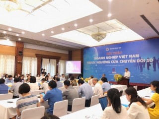 Doanh nghiệp Việt chỉ mới nhập cuộc với chuyển đổi số