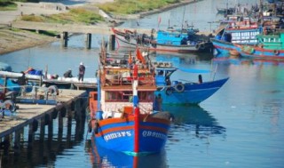Xăng dầu giảm giá, ngư dân phấn khởi