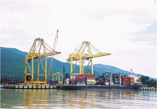 Tìm hướng đi cho logistics