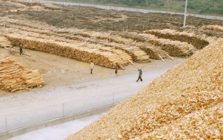 Làm gì để hóa giải áp lực?