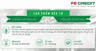 Nhà đầu tư đang tìm kiếm tiềm năng gì?