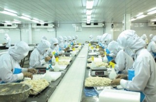 Rộng đường xuất khẩu thực phẩm chế biến