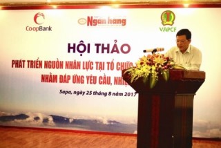 Phát triển nguồn nhân lực tại TCTD hợp tác nhằm đáp ứng yêu cầu, nhiệm vụ mới