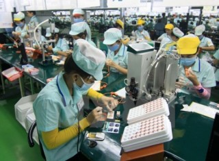 DN điện tử Việt đang ở đâu?