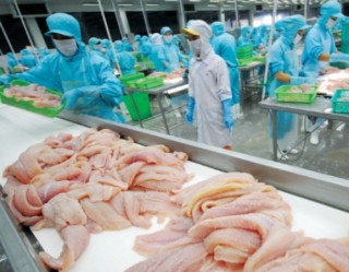 Doanh nghiệp thủy sản tìm thị trường xuất khẩu mới