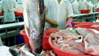 Thủy sản hưởng lợi khi xuất hàng sang Mỹ?