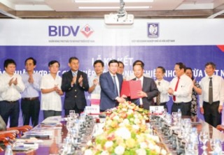 Liên tục đổi mới, đồng hành cùng doanh nghiệp