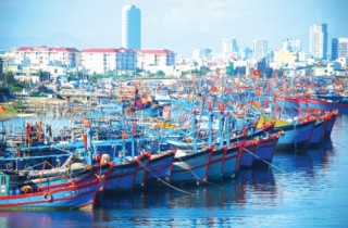 Đánh bắt thủy sản: Cần giải pháp mạnh để lập lại trật tự