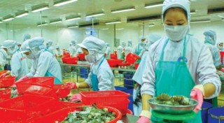 DN thực phẩm phải đổi mới công nghệ