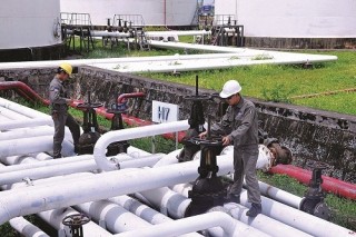 Đẩy mạnh sử dụng xăng sinh học: Hai giải pháp - một mục tiêu