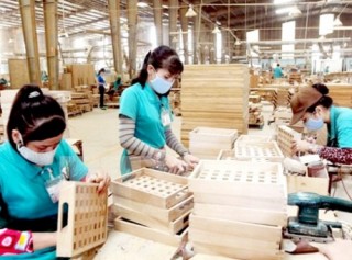 Tăng đầu tư vào hàng gia dụng