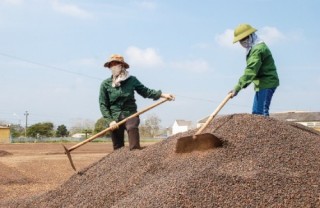 Cần thiết lập thị trường bền vững