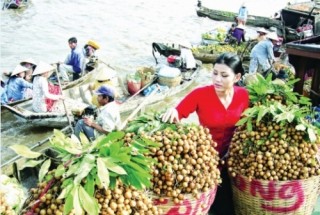 Thiếu cơ chế trong kết nối, cung cầu
