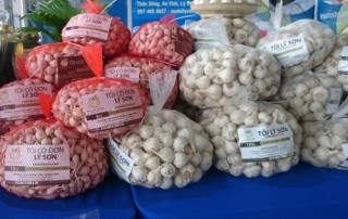 Hợp tác cung ứng hàng hóa