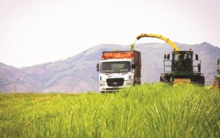 Du lịch hướng vào nông nghiệp bền vững