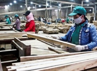 Ngành gỗ: Cơ hội lớn, thách thức nhiều