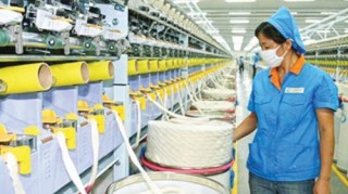 Từ bông Mỹ đến sản phẩm Việt