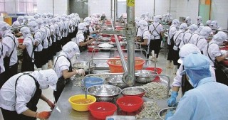 Khu công nghiệp vướng cơ chế