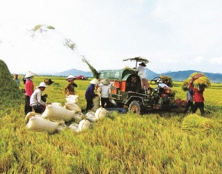 Để hàng nông sản lên ngôi