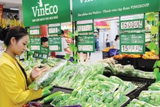 Bài học lớn cho doanh nghiệp nhỏ