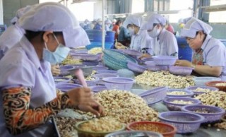 Nguồn nguyên liệu làm trì trệ xuất khẩu
